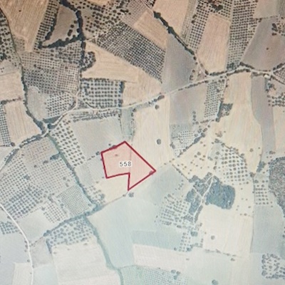 SATILIK TARLA DUALAR KÖYÜ ALTI  11,000 M2 BOŞ